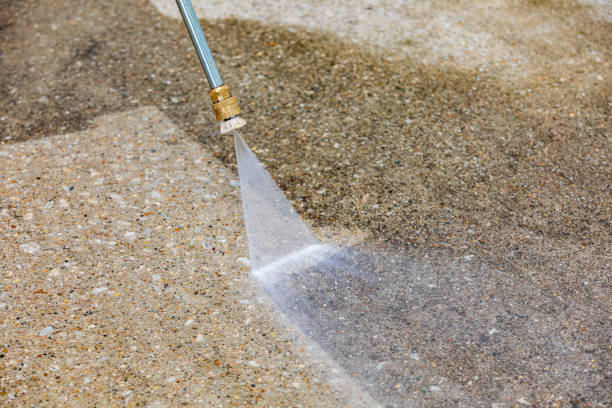 Best Roof Washing  in Socastee, SC
